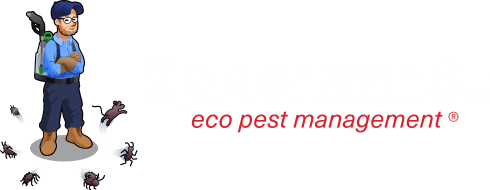 Spiderman SE